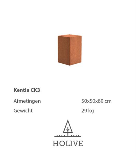 Grote foto sokkel kentia ck3 cortenstaal 50x50x80 cm. huis en inrichting woningdecoratie