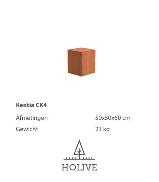 Grote foto sokkel kentia ck4 cortenstaal 50x50x60 cm. huis en inrichting woningdecoratie