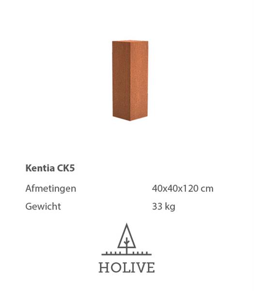 Grote foto sokkel kentia ck5 cortenstaal. 40x40x120 cm. huis en inrichting woningdecoratie