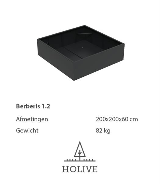 Grote foto berberis 1.2 vierkante aluminum plantenbak 200x200x60 cm. leverbaar in vele kleuren tuin en terras bloembakken