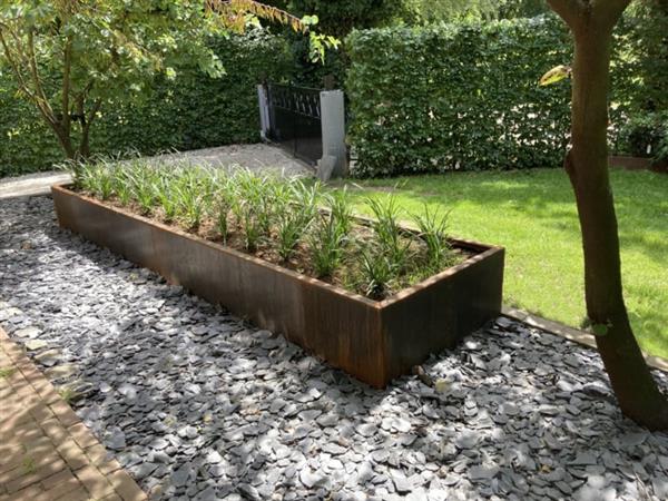 Grote foto cortenstaal plantenbak 300x100 cm. hoogte 30 cm. tuin en terras bloembakken