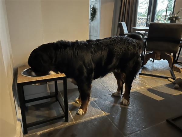 Grote foto hondendrinkbak staal zwart eiken met rvs drinkbakken of voerbakken 1 bak 28 cm. huis en inrichting woningdecoratie