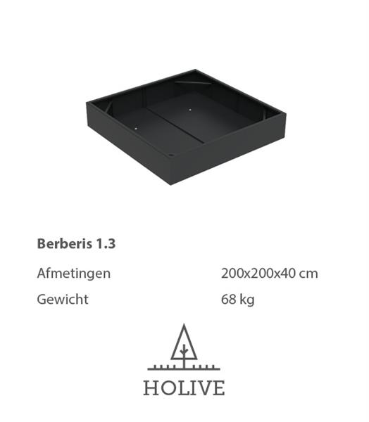 Grote foto berberis 1.3 vierkante aluminum plantenbak 200x200x40 cm. leverbaar in vele kleuren tuin en terras bloembakken
