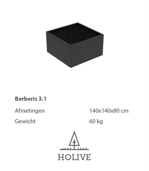 Grote foto berberis 3.2 vierkante aluminum plantenbak 140x140x60 cm. leverbaar in vele kleuren tuin en terras bloembakken