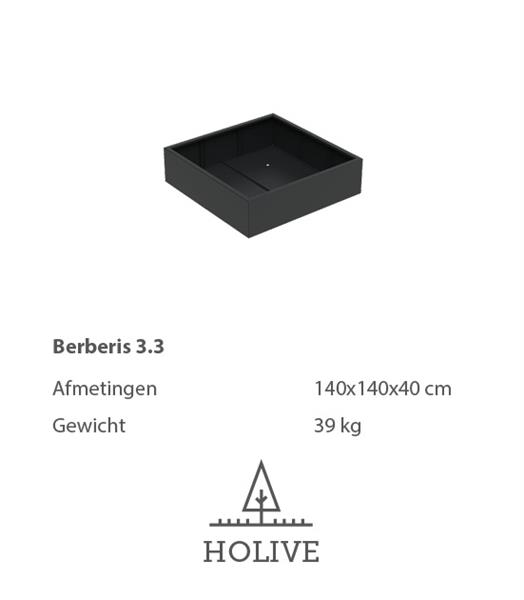 Grote foto berberis 4.1 vierkante aluminum plantenbak 120x120x80 cm. leverbaar in vele kleuren tuin en terras bloembakken