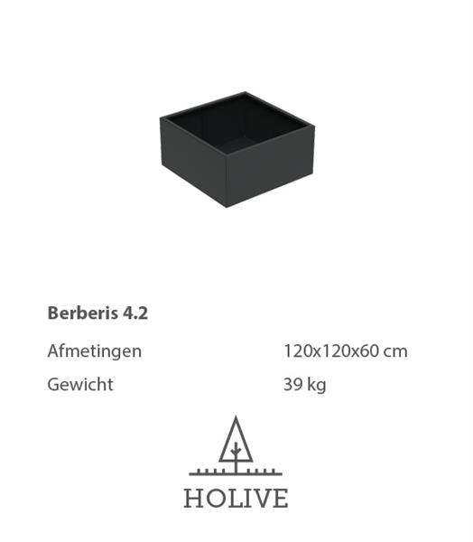 Grote foto berberis 4.2 vierkante aluminum plantenbak 120x120x60 cm. leverbaar in vele kleuren tuin en terras bloembakken