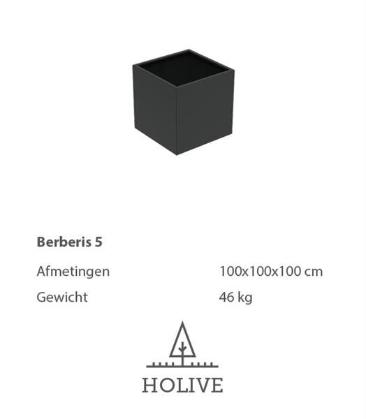 Grote foto berberis 5 vierkante aluminum plantenbak 100x100x100 cm. leverbaar in vele kleuren tuin en terras bloembakken