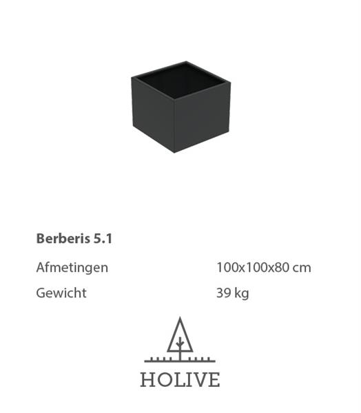 Grote foto berberis 5.1 vierkante aluminum plantenbak 100x100x80 cm. leverbaar in vele kleuren tuin en terras bloembakken