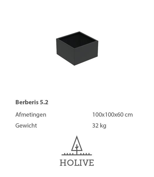 Grote foto berberis 5.2 vierkante aluminum plantenbak 100x100x60 cm. leverbaar in vele kleuren tuin en terras bloembakken