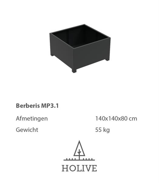 Grote foto berberis mp 4.1 plantenbak 140x140x80 cm. tuin en terras bloembakken