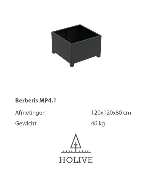 Grote foto berberis plantenbak 120x120x80 cm. tuin en terras bloembakken