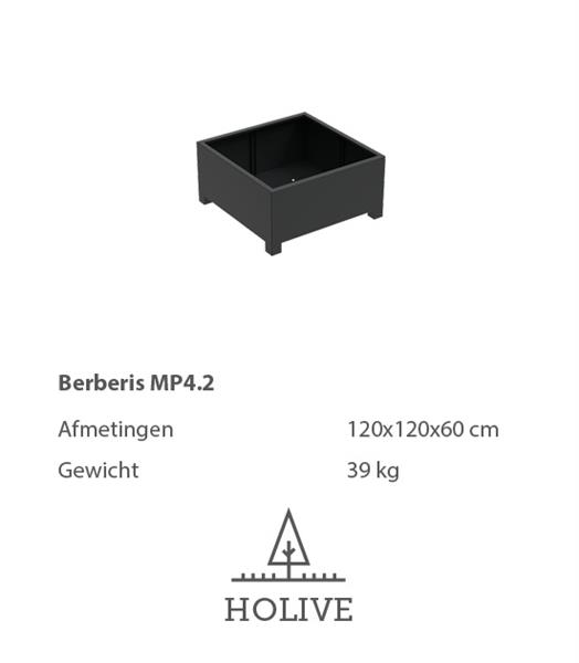 Grote foto berberis plantenbak 120x120x60 cm. tuin en terras bloembakken