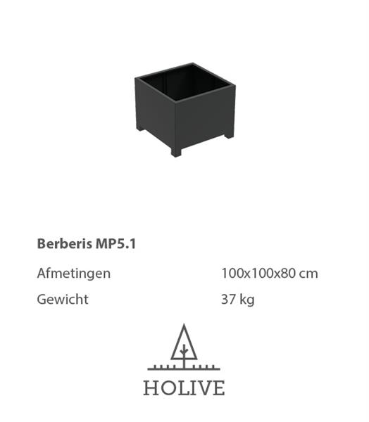 Grote foto berberis mp5.1 plantenbak 100x100x80 cm. tuin en terras bloembakken
