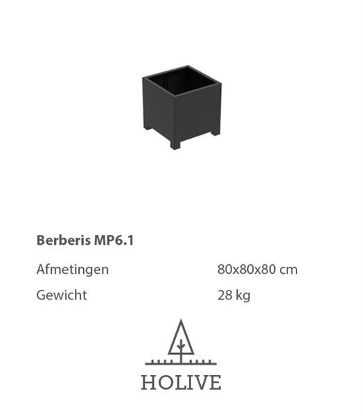 Grote foto berberis mp5.3 plantenbak 80x80x80 cm. tuin en terras bloembakken