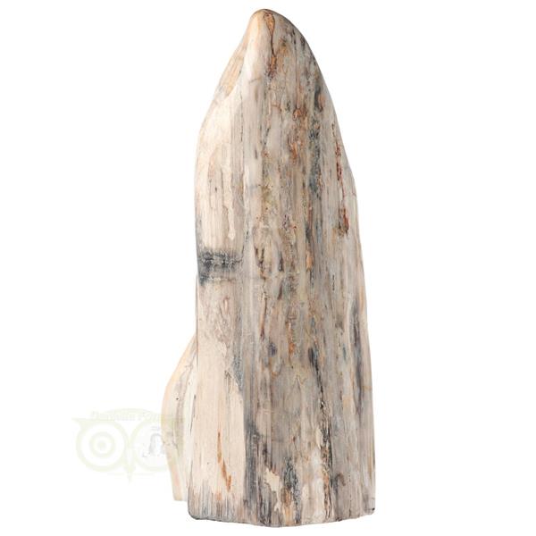 Grote foto versteend hout sculptuur nr 54 4595 gram verzamelen overige verzamelingen