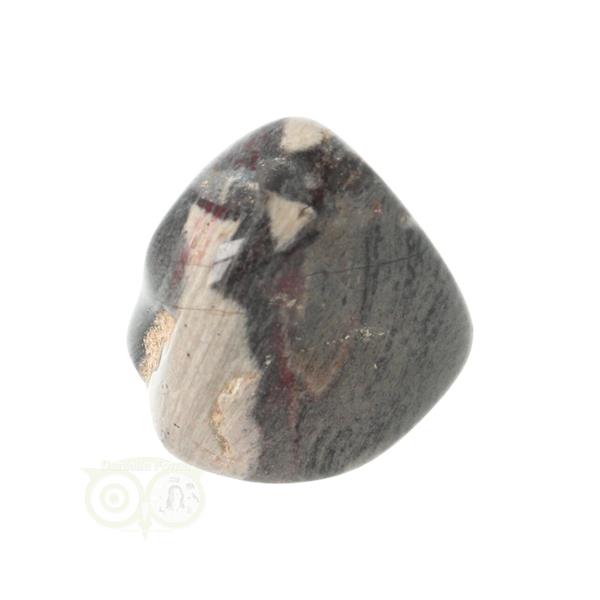 Grote foto jaspis zilverblad silverleaf jasper trommelsteen nr 10 verzamelen overige verzamelingen
