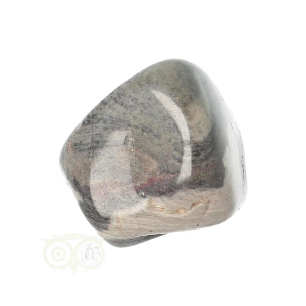 Grote foto jaspis zilverblad silverleaf jasper trommelsteen nr 10 verzamelen overige verzamelingen
