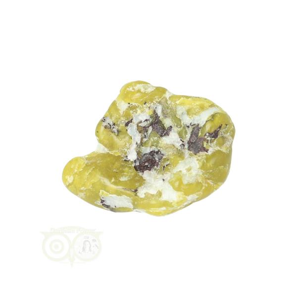 Grote foto lizardiet trommelsteen nr 24 18 gram verzamelen overige verzamelingen