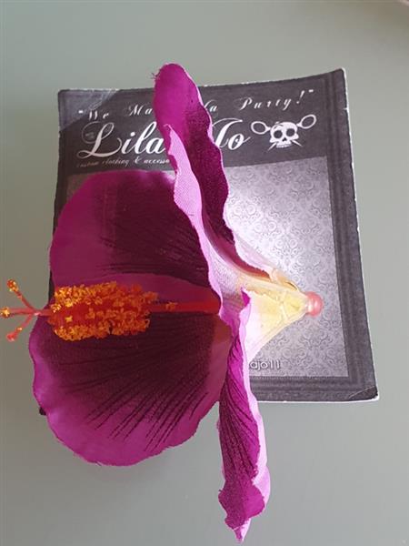 Grote foto lila jo purple hibiscus. kleding dames sieraden