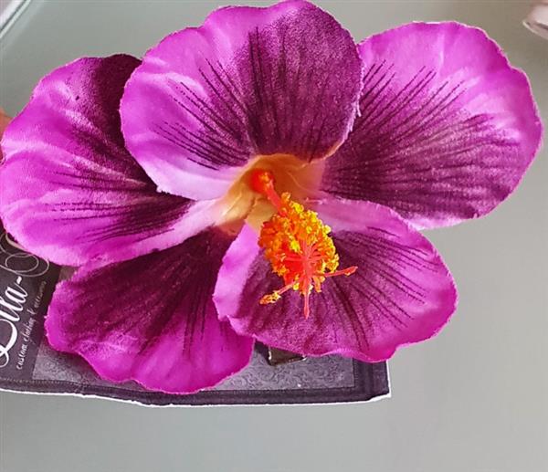 Grote foto lila jo purple hibiscus. kleding dames sieraden