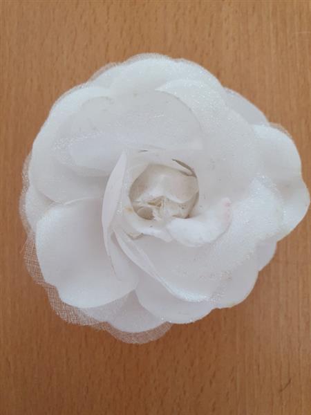 Grote foto white small rose. kleding dames sieraden