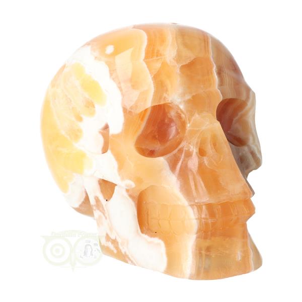 Grote foto oranje calciet schedel nr 270 1759 gram verzamelen overige verzamelingen