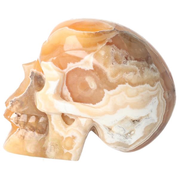 Grote foto oranje calciet schedel nr 270 1759 gram verzamelen overige verzamelingen