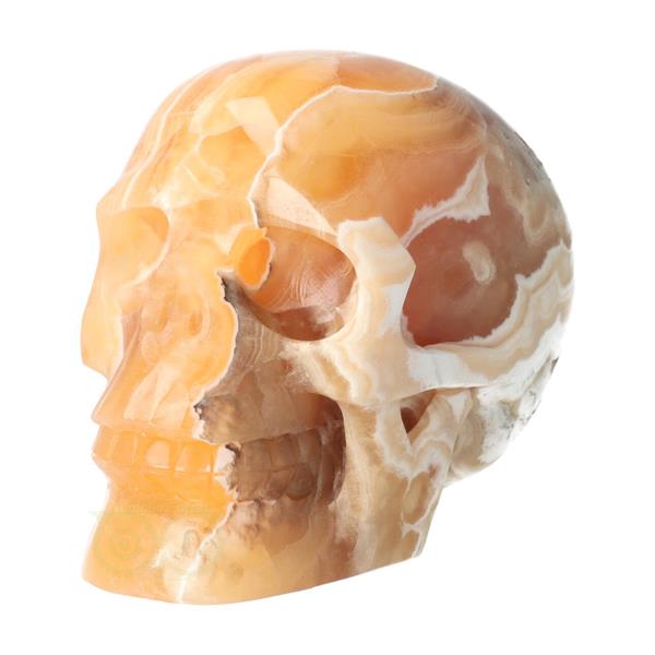 Grote foto oranje calciet schedel nr 270 1759 gram verzamelen overige verzamelingen