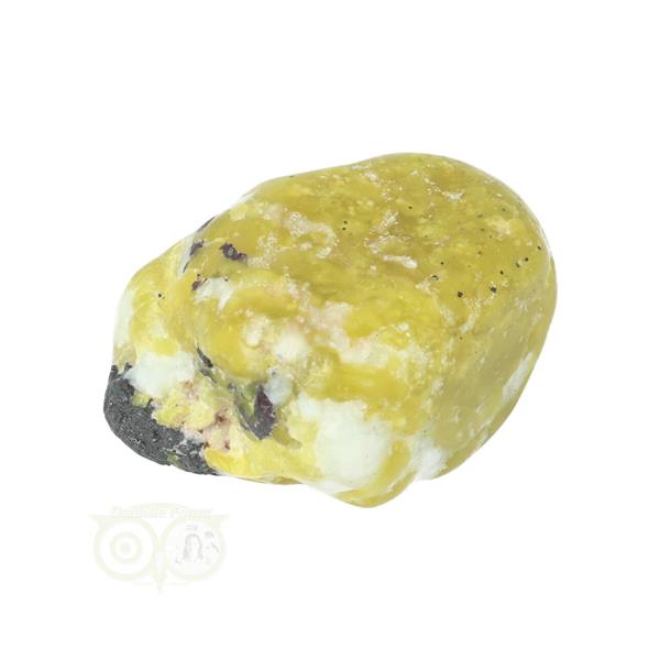 Grote foto lizardiet trommelsteen nr 19 30 gram verzamelen overige verzamelingen