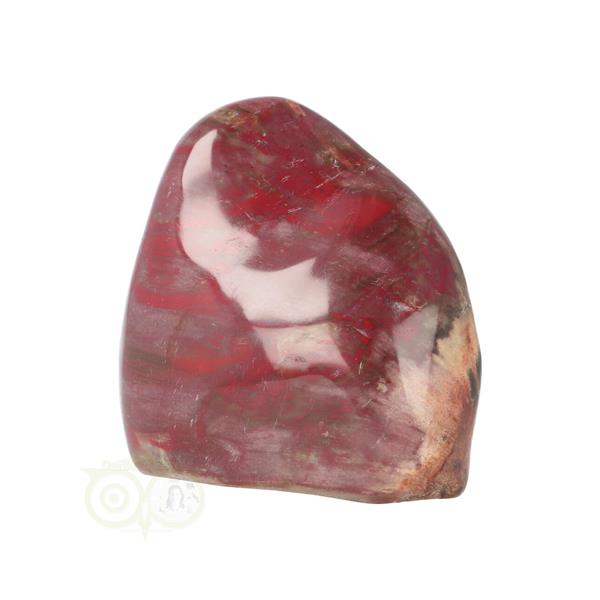 Grote foto versteend hout sculptuur nr 23 verzamelen overige verzamelingen