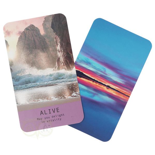 Grote foto sea soul journeys oracle cards pippa best boeken overige boeken