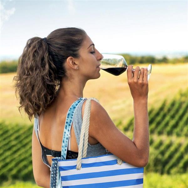 Grote foto gestreepte strandtas met ge soleerd wijncompartiment en zijvakken sieraden tassen en uiterlijk damestassen