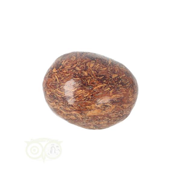Grote foto coquina jaspis trommelsteen nr 11 22 gram verzamelen overige verzamelingen