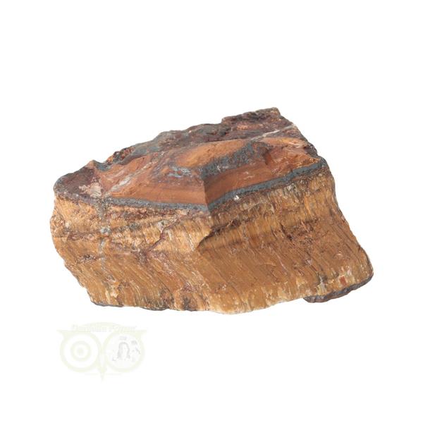 Grote foto tijgeroog ruw nr 34 76 gram zuid afrika verzamelen overige verzamelingen