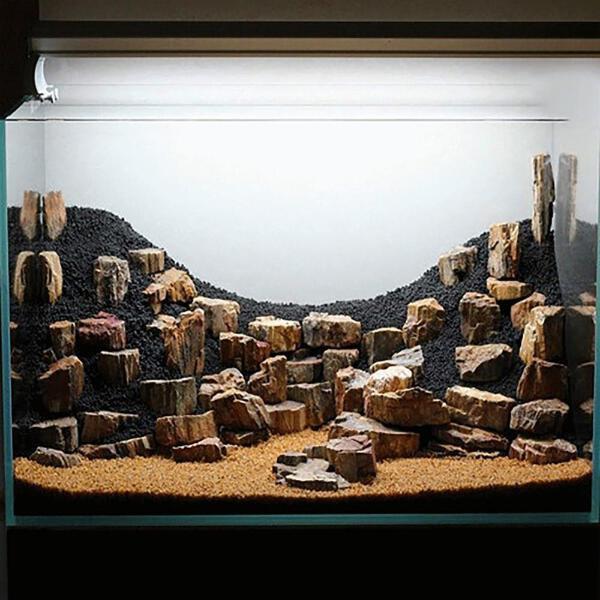 Grote foto petrified stone 10 20cm aquarium decoratie stenen dieren en toebehoren vissenkommen