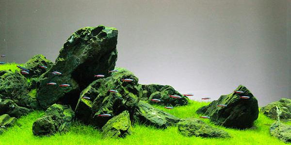 Grote foto landscape stone 10 15cm aquarium decoratie stenen dieren en toebehoren vissenkommen
