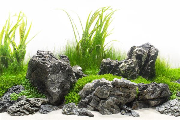 Grote foto grey luo hanshi 10 15cm aquarium decoratie stenen dieren en toebehoren vissenkommen