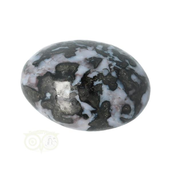 Grote foto gabbro merliniet handsteen nr 17 108 gram madagaskar verzamelen overige verzamelingen