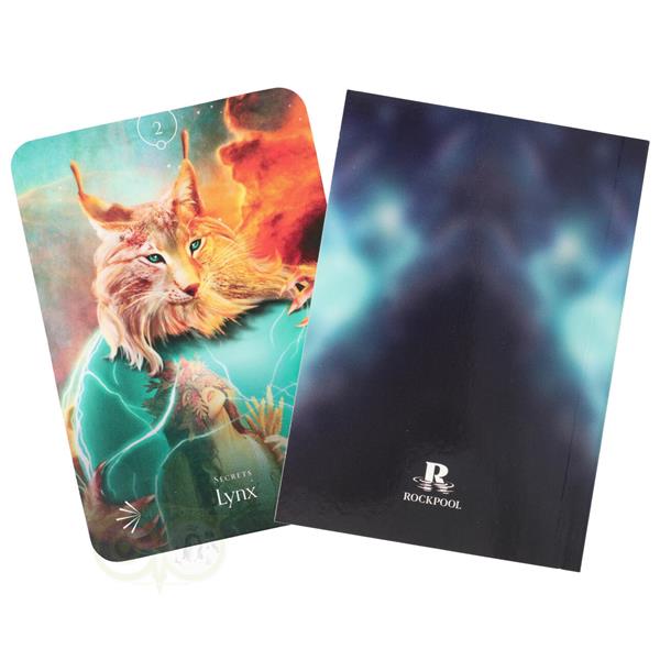 Grote foto divine animals oracle stacey demarco engelse editie boeken overige boeken