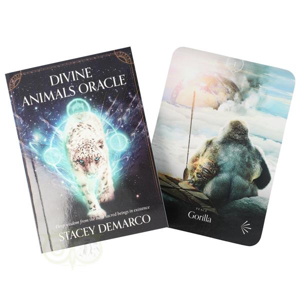 Grote foto divine animals oracle stacey demarco engelse editie boeken overige boeken