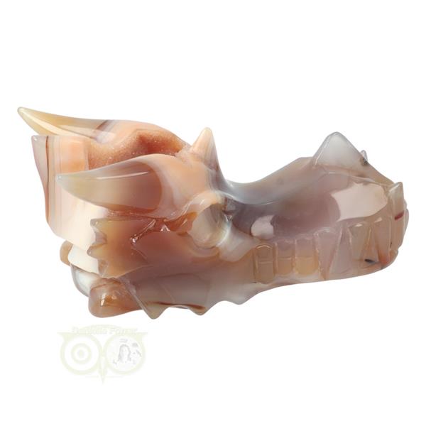 Grote foto agaat chalcedoon geode drakenschedel 619 gram verzamelen overige verzamelingen