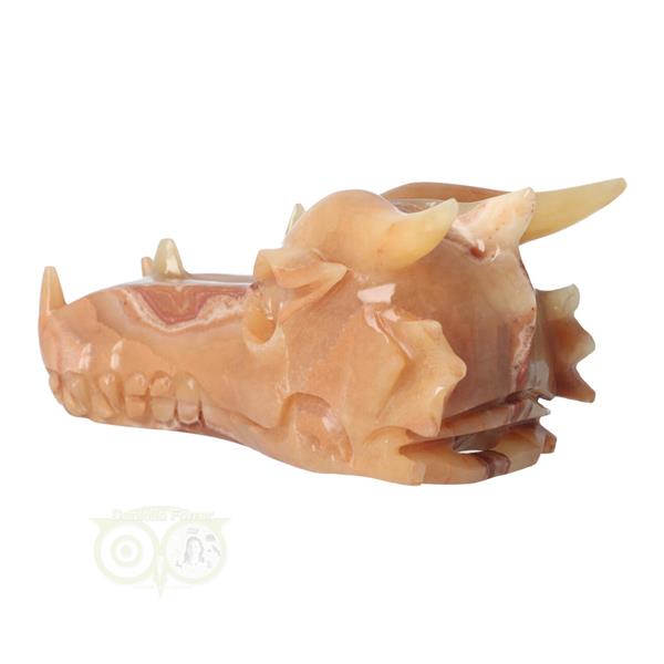 Grote foto calciet drakenschedel nr 275 803 gram verzamelen overige verzamelingen