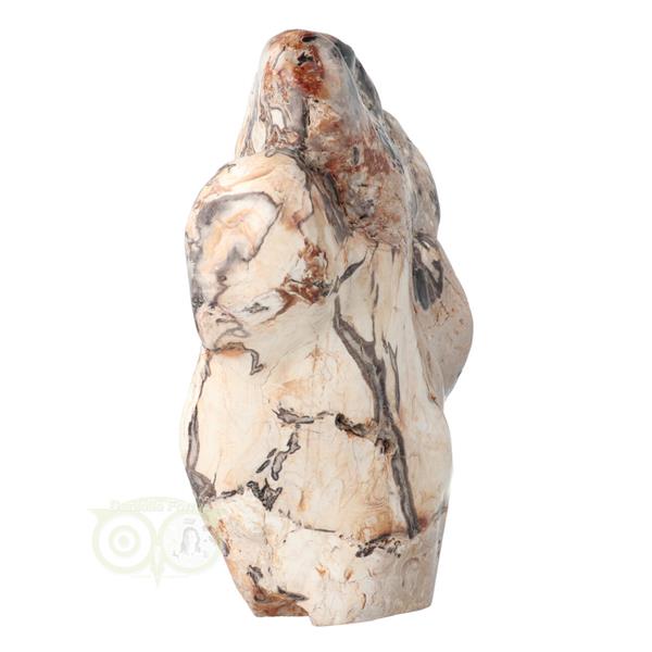 Grote foto versteend hout sculptuur nr 51 3867 gram verzamelen overige verzamelingen