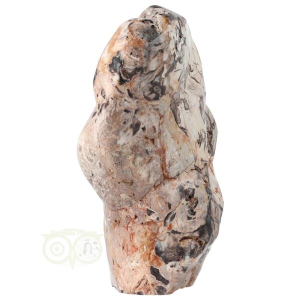 Grote foto versteend hout sculptuur nr 51 3867 gram verzamelen overige verzamelingen