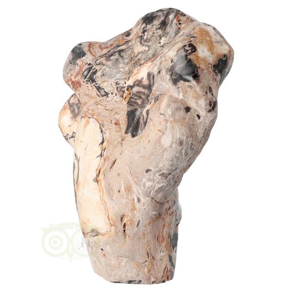 Grote foto versteend hout sculptuur nr 51 3867 gram verzamelen overige verzamelingen