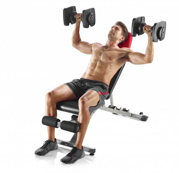 Grote foto bowflex 560i selecttech dumbbells met bewegingssensor sport en fitness fitness