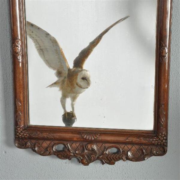 Grote foto antieke spiegel gestoken lijst met ruiven en bladeren ca. 1890 no.272159 antiek en kunst spiegels