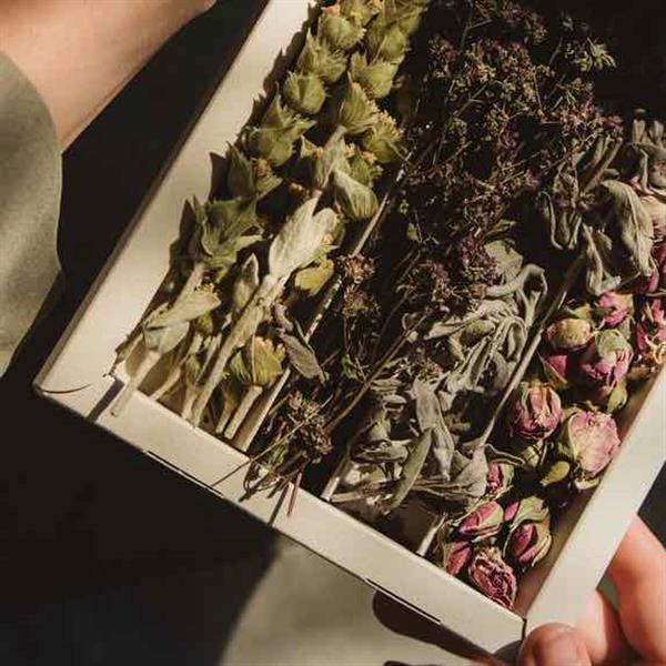 Grote foto herbal floral tea discovery set beauty en gezondheid lichaamsverzorging