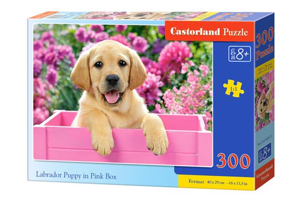 Grote foto labrador puppy in pink box castorland b 030071 kinderen en baby puzzels