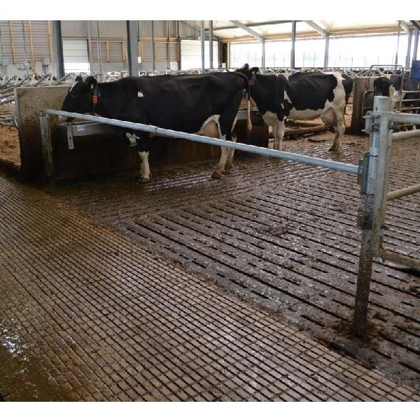 Grote foto slagboom veerondersteund lengte 300 550 cm dieren en toebehoren runderen